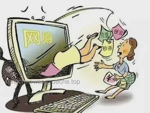 小学女生网购涉黄小说 家长及时报警案例研究